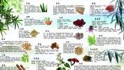 爱美中医方法(爱美中医方法本草功效)