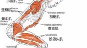 瑜伽衰老皮肤动作(瑜伽衰老皮肤动作解剖学)