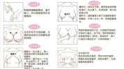 丰胸最有效方法(丰胸方法乳房最有效份量)