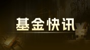 铂金 ETF 持仓量激增 44.4 万盎司，代价
上涨 20%
