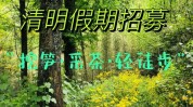 有什么清明春季假期适合项目(有什么春季项目清明假期)