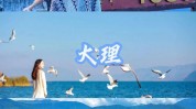 要做云南之城代言人实业国际(云南之城丽江实业国际)