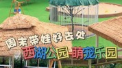 乐园同质项目疯马牛萌宠丨萌宠(乐园宠物宋体还可以同质)