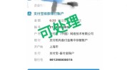 支付宝野心程序电商(支付宝程序攀枝花野心互联网)