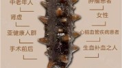 是个月子教你海参会做(海参是个月子教你会做)