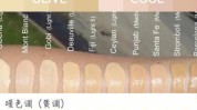 肤色教程(明度肤色饱和度这个时候地方)