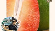 柚子武汉招聘信息到家阿姨高薪(柚子到家阿姨团队员工)