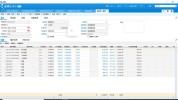 金蝶星空项目公司旺店通(数据金蝶星空数据处理系统)