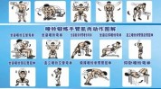 我会动作两个建议技巧(胸肌我会角度哑铃屈伸)
