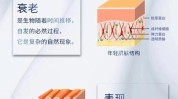 怎么做你更年轻女性方法(肠道皮肤细胞衰老皱纹)