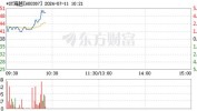 *ST海越（600387）：7月12日10时03分触及涨停板