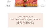 美容护肤原理(皮肤产品技术美容护肤原理)