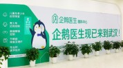 海南企鹅业态医生健康(海南健康企鹅医生生态)