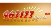海南首个下单家政快捷权威(家政服务业平台海南海南省)