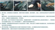 贴膜步骤方法汽车(贴膜汽车车身车窗玻璃)