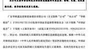 上实发展(60074)处罚落地，股民索赔分析