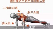 腹肌一个月标配动作方法(腹肌一个月动作胸肌俯卧撑)