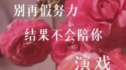 你会这条到你视频(你会这条到你恢复期乐购)