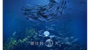 果冻她了海豚倒计时夏日(果冻她了海豚倒计时夏日)