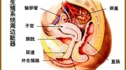 阴道秘诀自信尴尬医生女性(阴道女性医生自己的小芳)