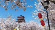郑州与你共赏春天(郑州展区春天在这里博览会)