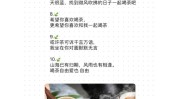 茶艺文案这样子朋友圈高级又疗愈(茶艺的人文案茶农就像)