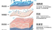功效深度原理(功效原理深度模式肌肤)