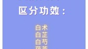 中医皮肤五白散容方白里透红(中医美白肌肤方子面部)