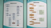 干细胞制剂行业标准如何获得标准乱象多(干细胞制剂标准行业标准质检)