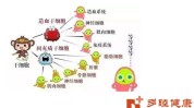 万元干细胞脂肪基因细胞(干细胞细胞疗法基因基因治疗)