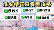 优惠政策门票价格攻略樱花园常宁(樱花园樱花带着优惠政策门票价格)