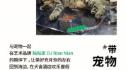 宠物秘籍风采让爱宠(宠物秘籍风采期为清洁)