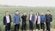 阿克苏总投资协议领导地区赴疆外(阿克苏项目地区中国日报亿元)