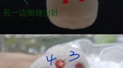 教你就跑猫咪步骤(猫咪教你就跑步骤棉花)
