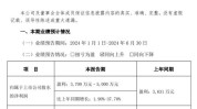 深纺织 A：上半年业绩预增，偏光片市场远景
广阔