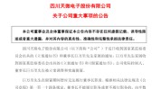 忽然
公告：“董事长被查、留置”