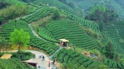 昭平广西名片色彩绿色生态旅游(昭平旅游昭平县广西示范区)
