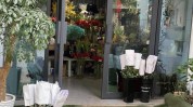 大家都要去螺旋县城花店优点(螺旋都是花店大家都要去)