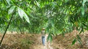佛山佳利达环保发力全财产
链绿色发展，曾因战略性收购受市场关注