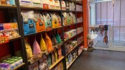 美容店开一家宠物(宠物美容店创业者投资者会让)