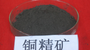 刚果金铜矿投产：铜精矿供应趋紧，操纵
发起
逢低多