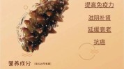 告诉你海参美容院(海参告诉你美容院女性多糖)