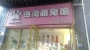 血本无归巷子宠物店年纪财富餐饮店(宠物美容师北京老板家店)