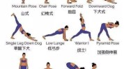 体式第一个会前要多女人(体式会前第一个瑜伽要多)