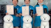 宠物最好的哪家院校学校(宠物学校培训学校最好的美容师)