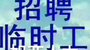 文山南中多个招人找工作高薪(文山岗位南中工作经验患者)