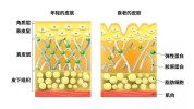 莱芜济南市病灶基底人民医院细胞(莱芜皮肤基底细胞大众网)