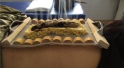 艾灸寒冬温暖(艾灸濮阳濮阳市中医火龙)