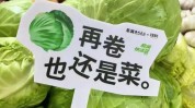文案趣味蔬菜市场(趣味文案这一蔬菜幽默)