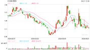 路劲：尚未敲定任何有关境外债务延期的条款，如延期不乐成
或对境外债务全面重组
